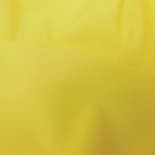 Polyester-Canary