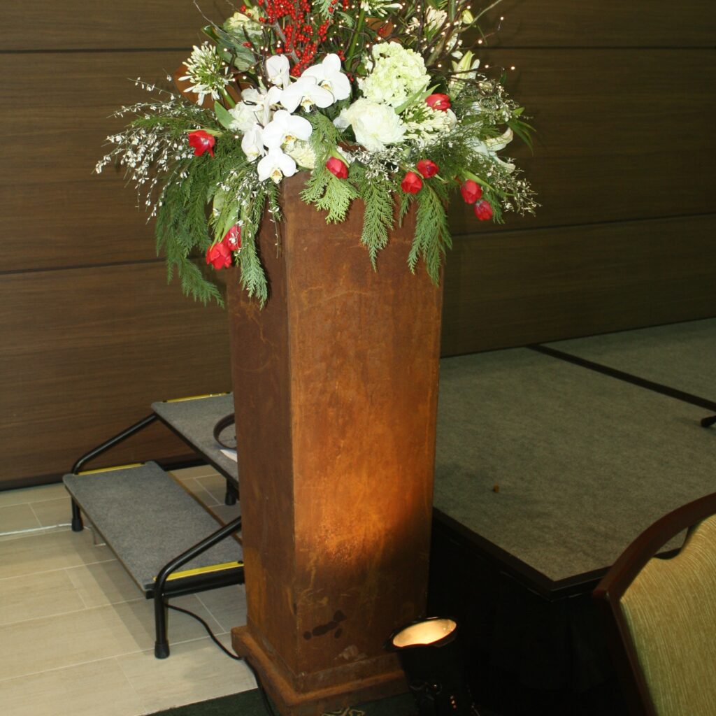 IMG_1315 Cropped(1)